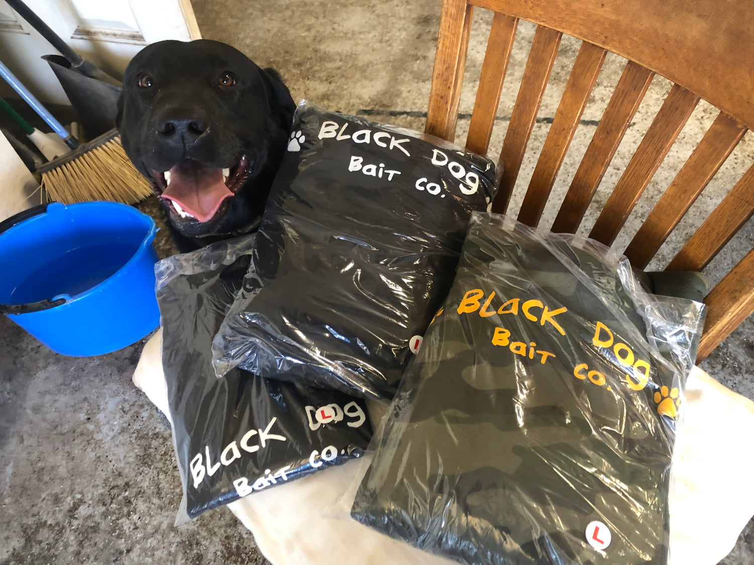Black Dog Baits – Black Dog Bait Co.