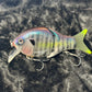 Shell Cracker G2 Custom Paint